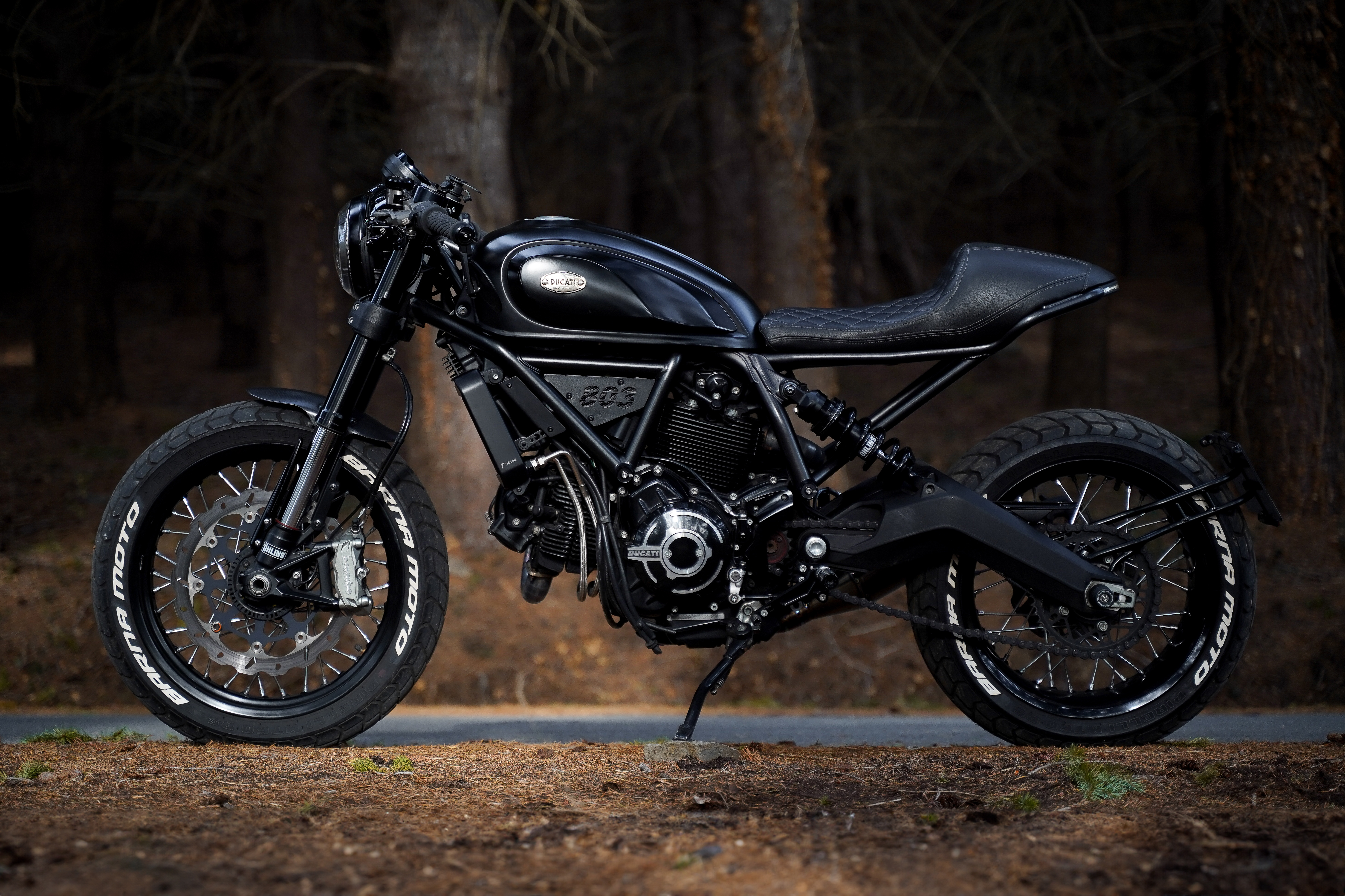 Ducati scrambler hot sale 800 custom