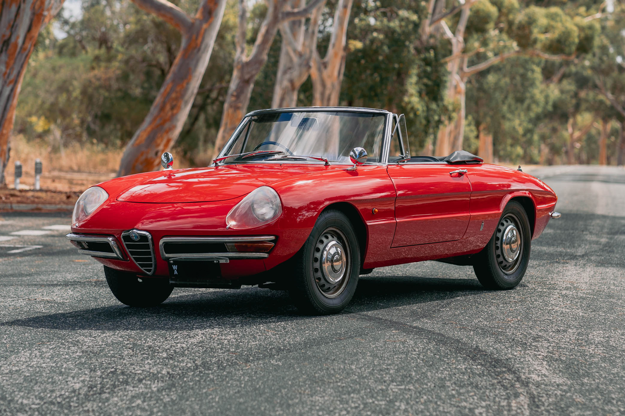 1966 Alfa Romeo Spider 1600 ‘Duetto’ - RHD