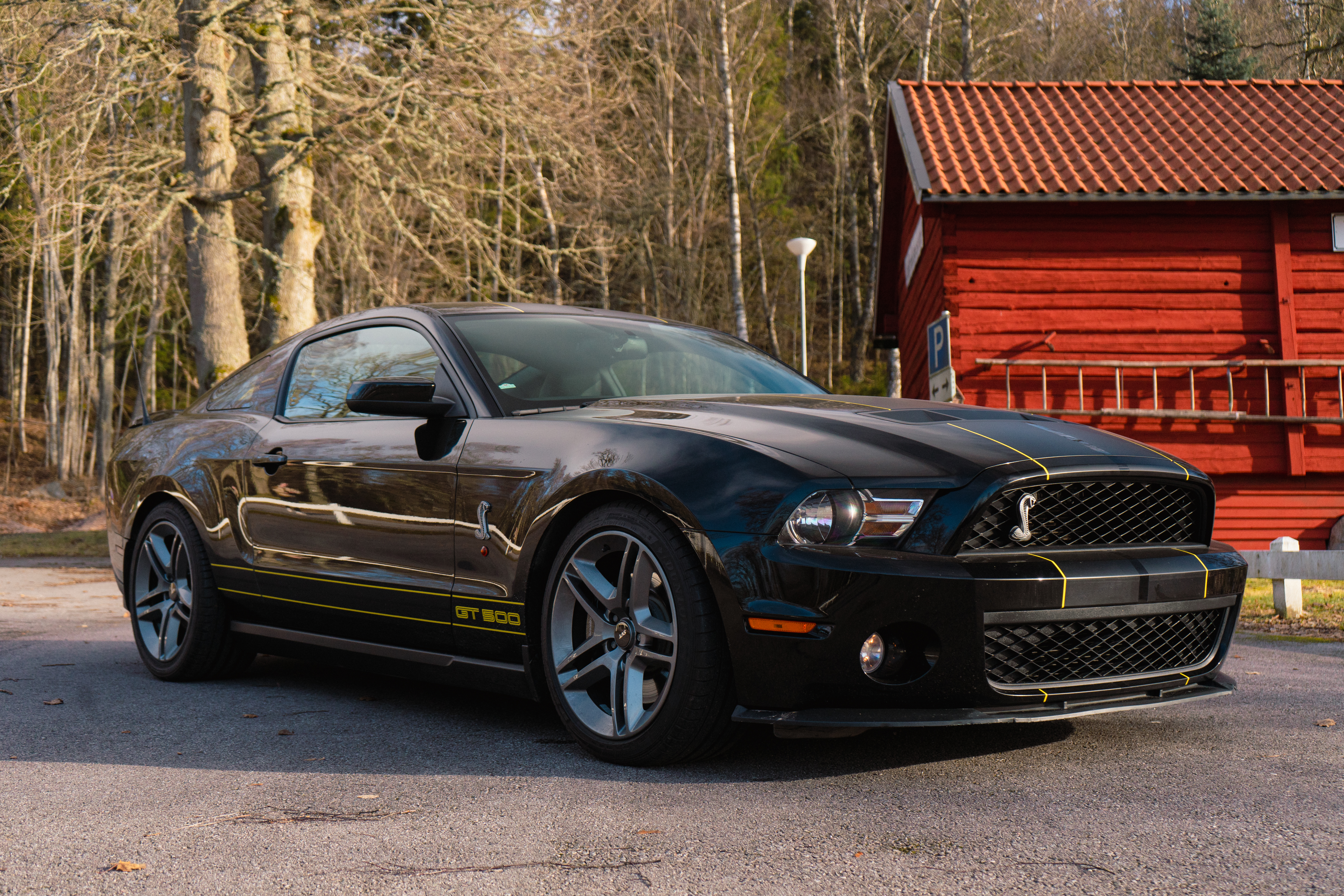 2010 Ford Shelby Mustang GT500