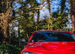 2019 Alfa Romeo Giulia Quadrifoglio