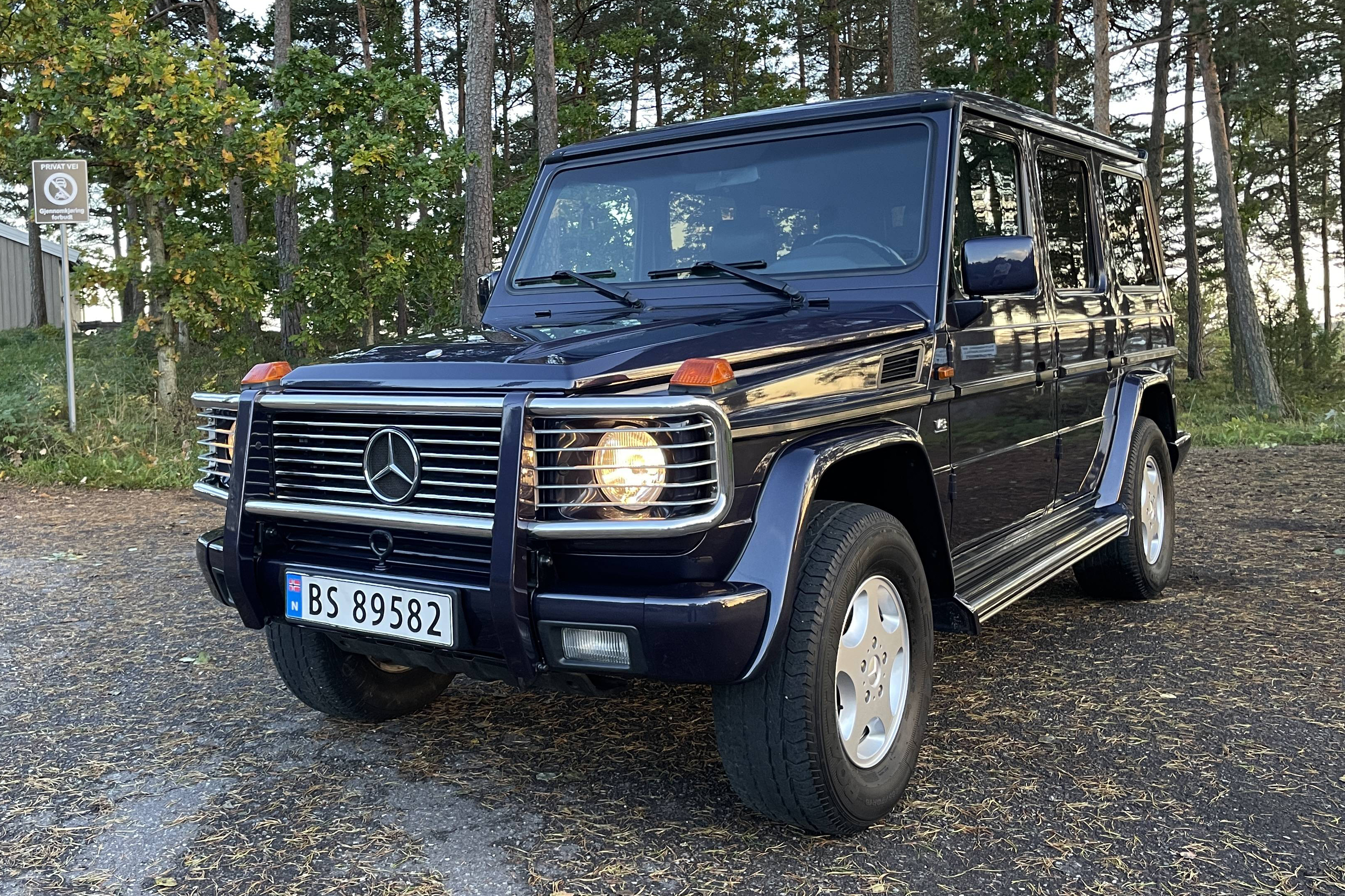 1993 Mercedes-Benz (W463) 500 GE