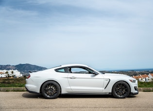 2017 Shelby GT350 'Track Pack'