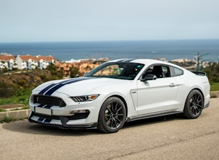 2017 Shelby GT350 'Track Pack'