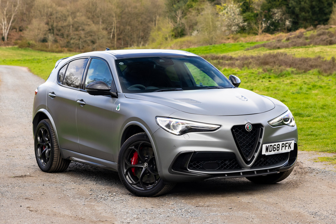 2019 Alfa Romeo Stelvio Quadrifoglio Nring