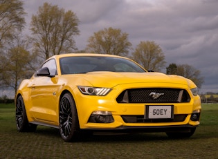 2015 Ford Mustang GT – 50 Years Appearance Package