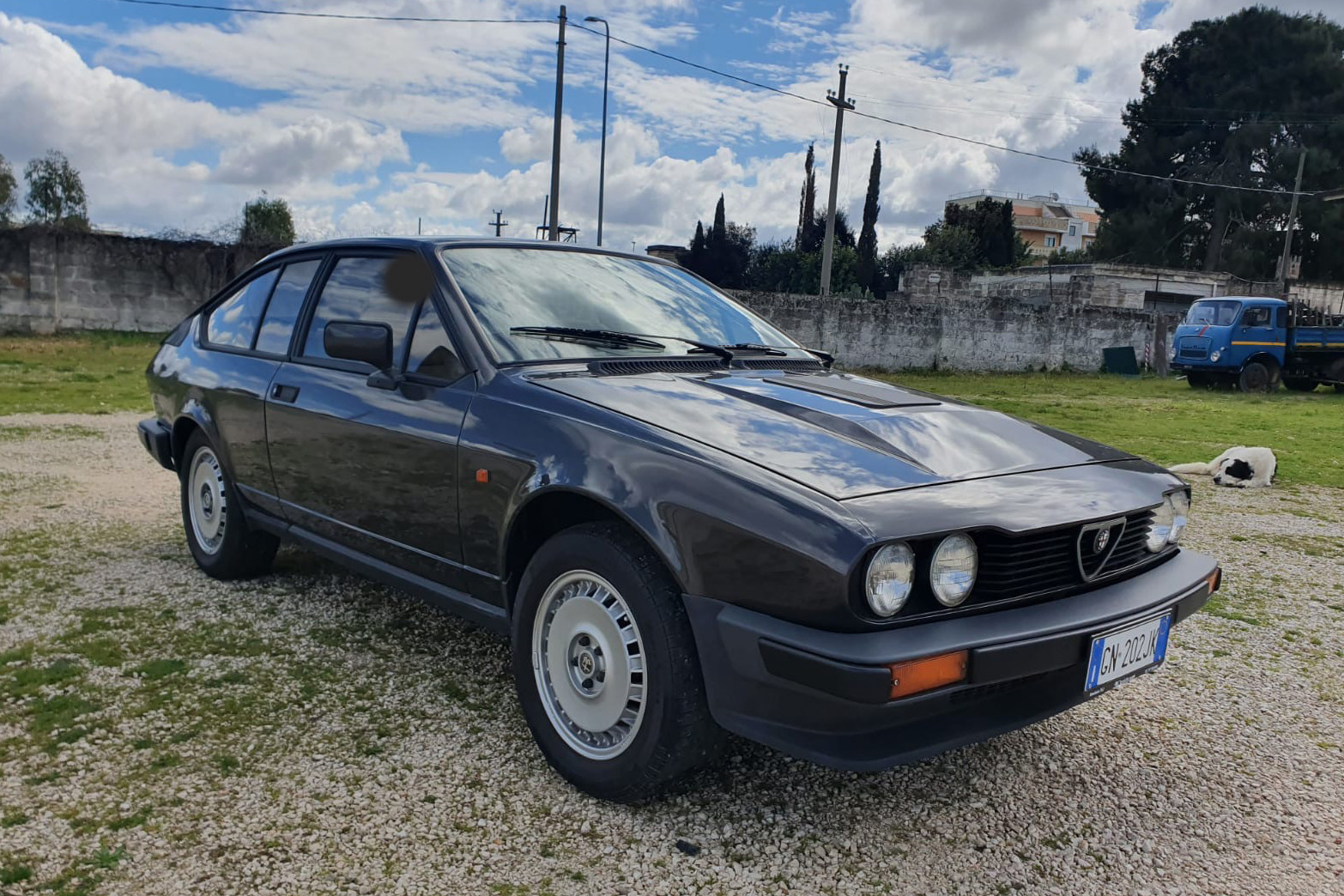 1981 Alfa Romeo GTV6 2.5