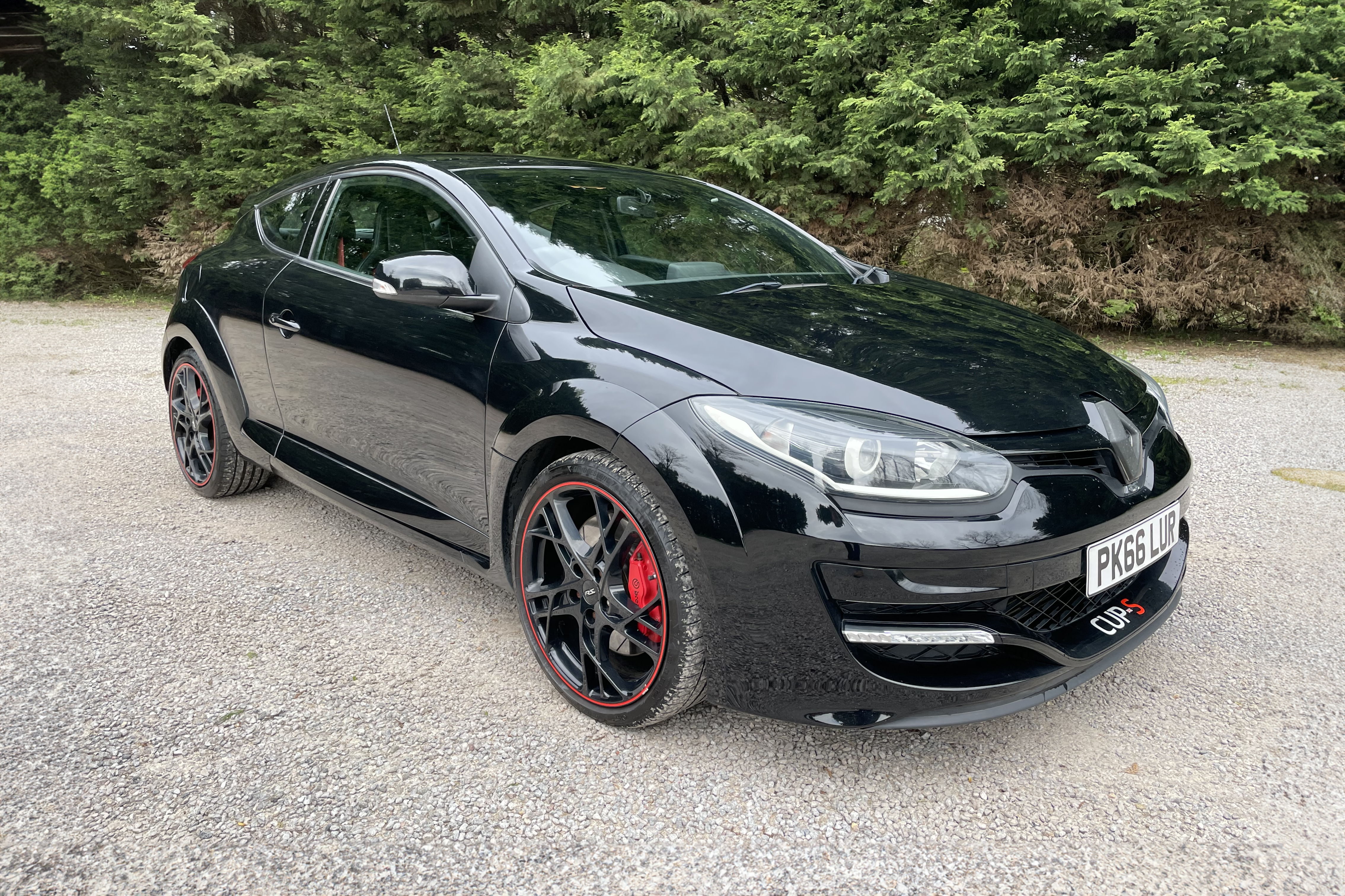 2016 RenaultSport Megane 275 Cup-S