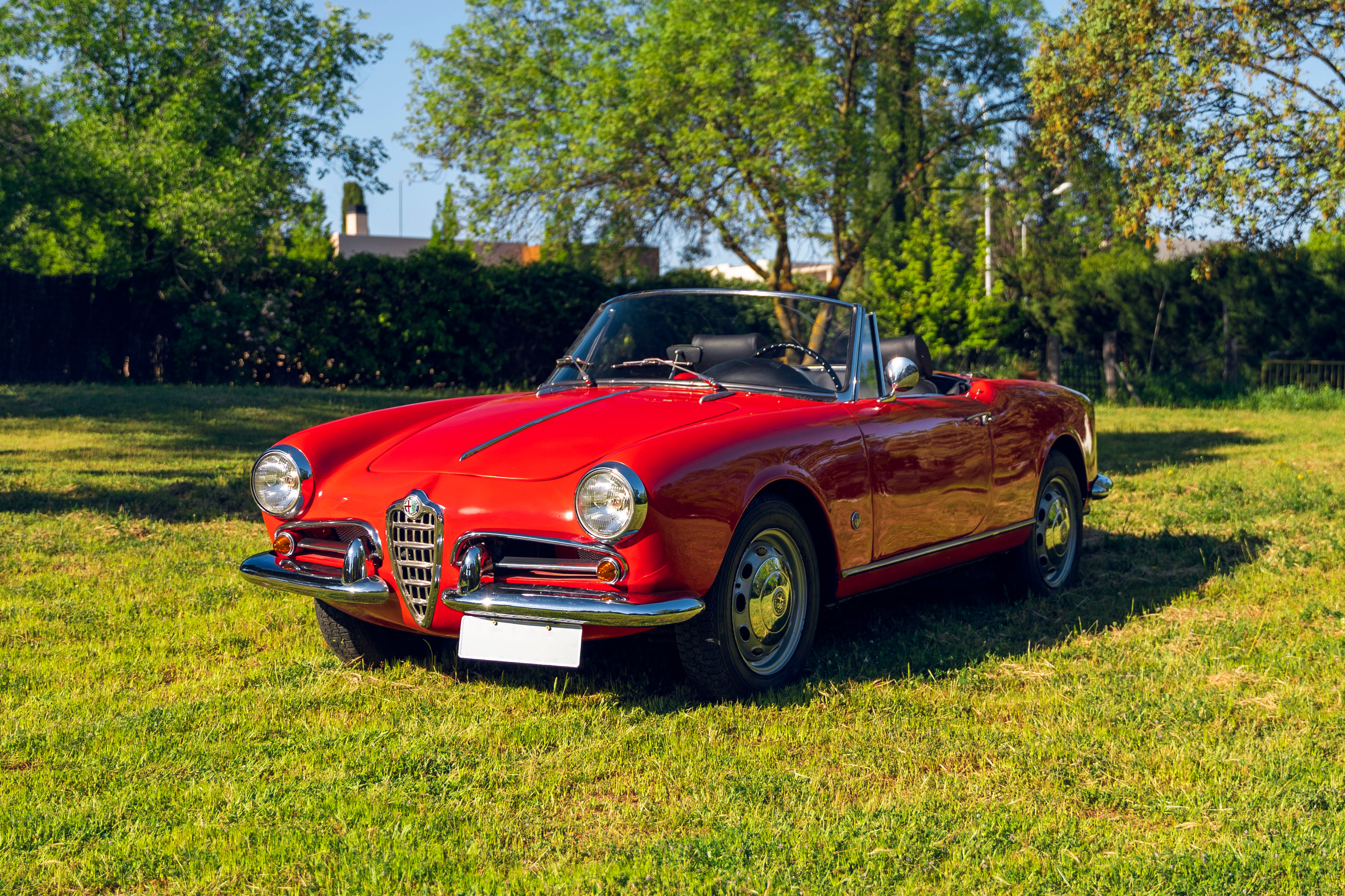 1961 Alfa Romeo Giulietta Spider