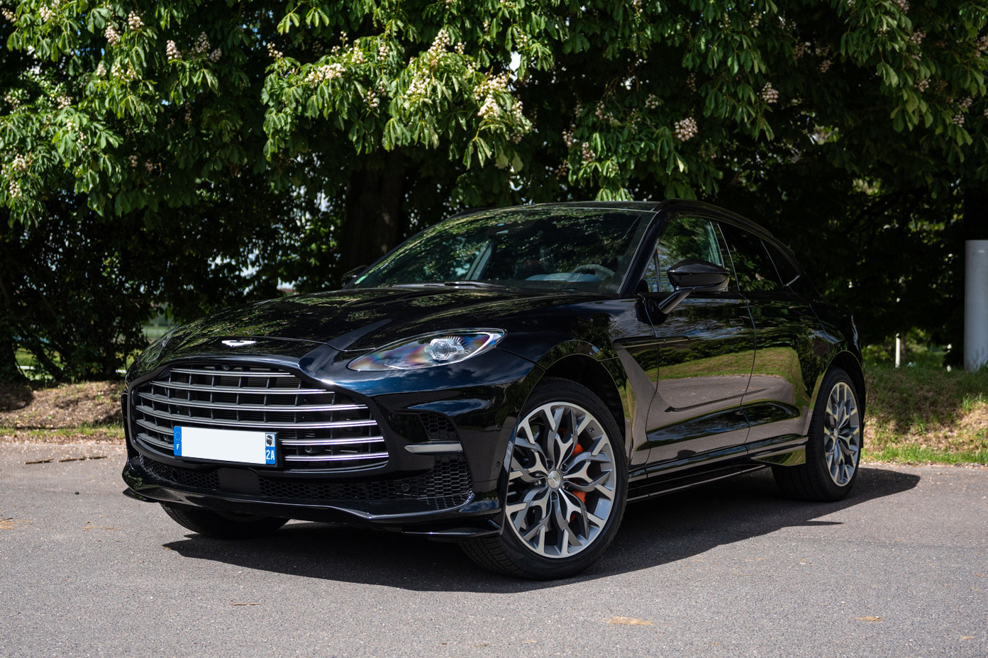 2023 Aston Martin DBX 707 - 781 KM - VAT Q