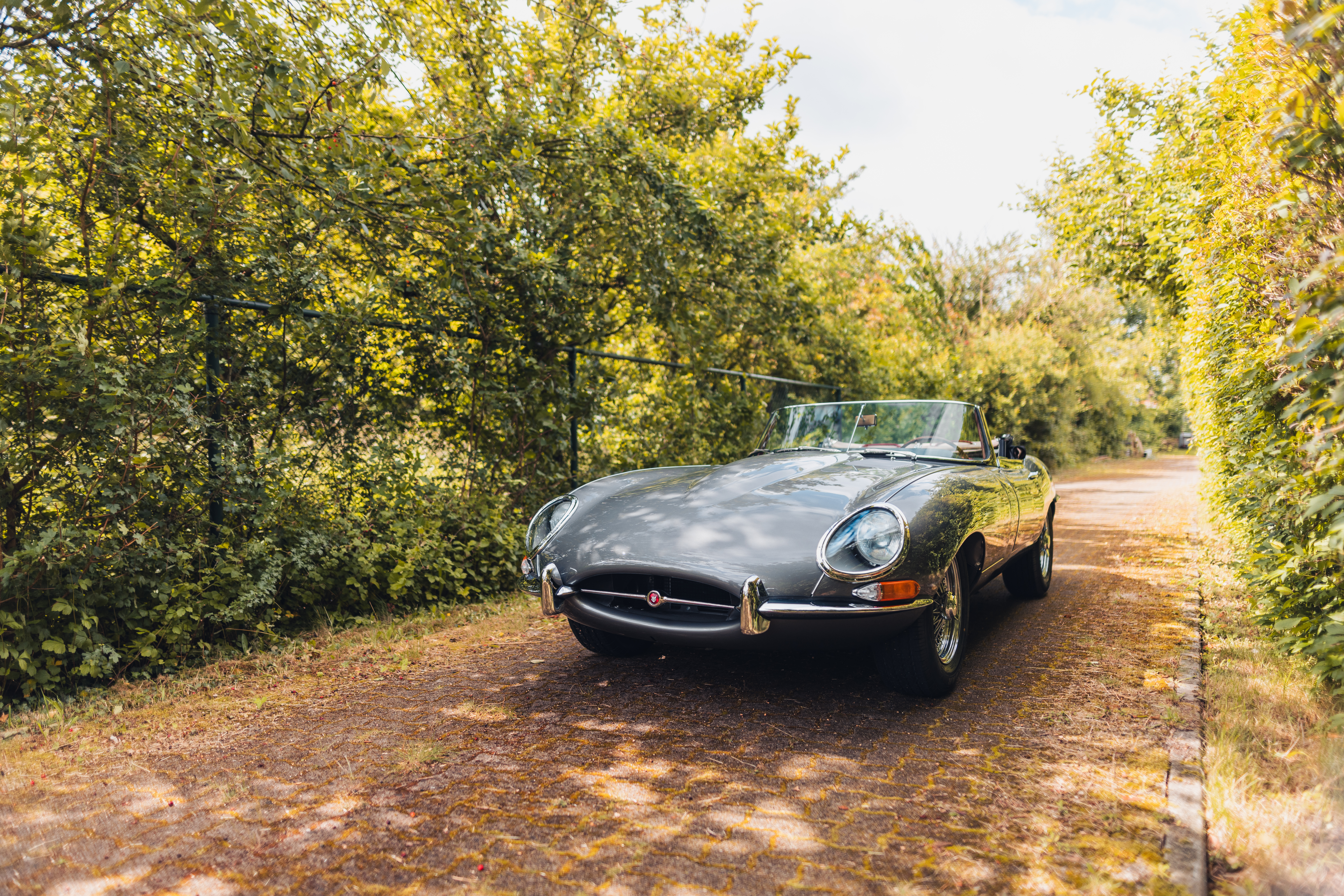 Jaguar E-Type Spyder 1961 Limited Production Of 1000 Novelty
