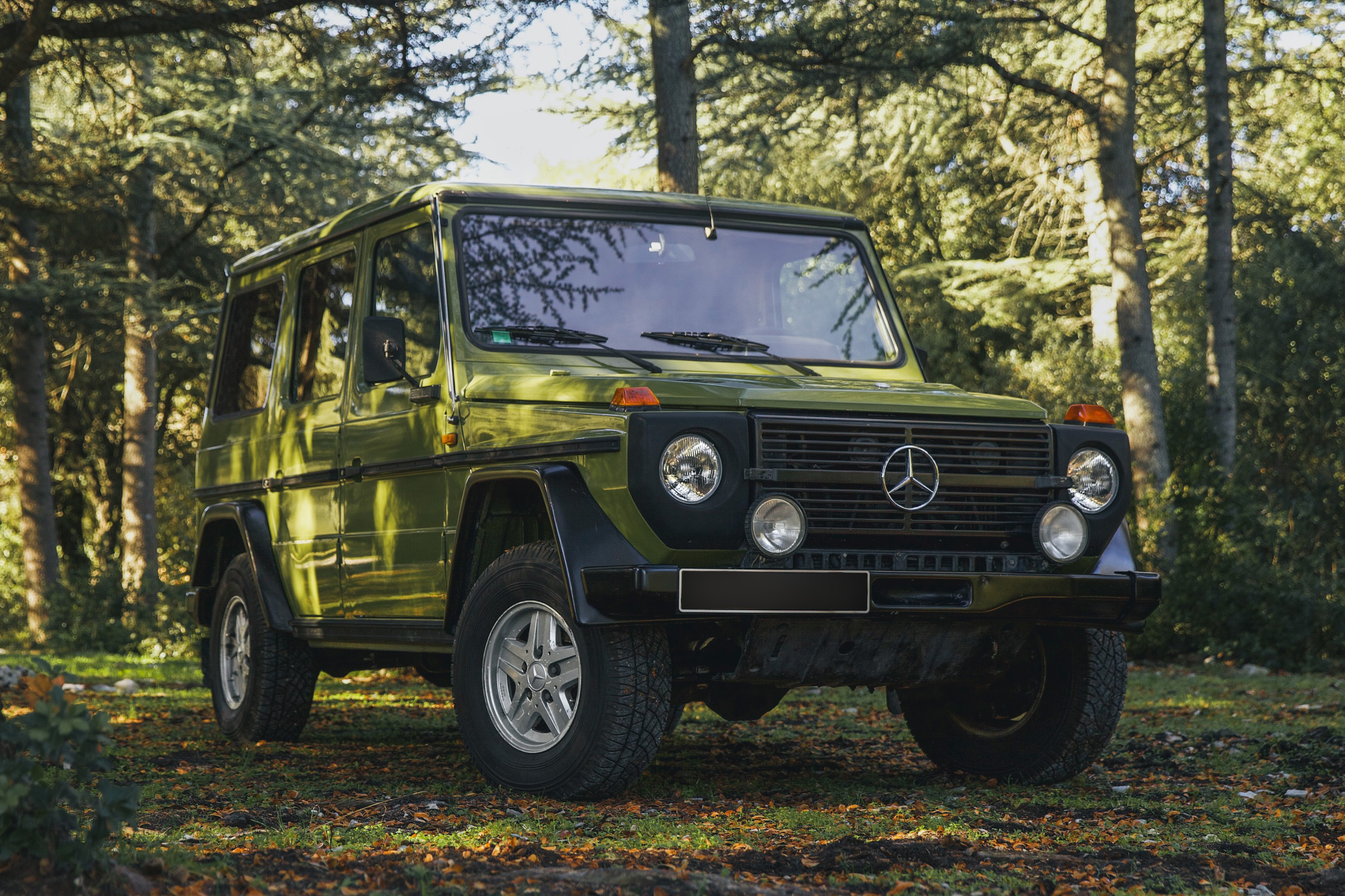 1985 Mercedes-Benz (W460) 280GE