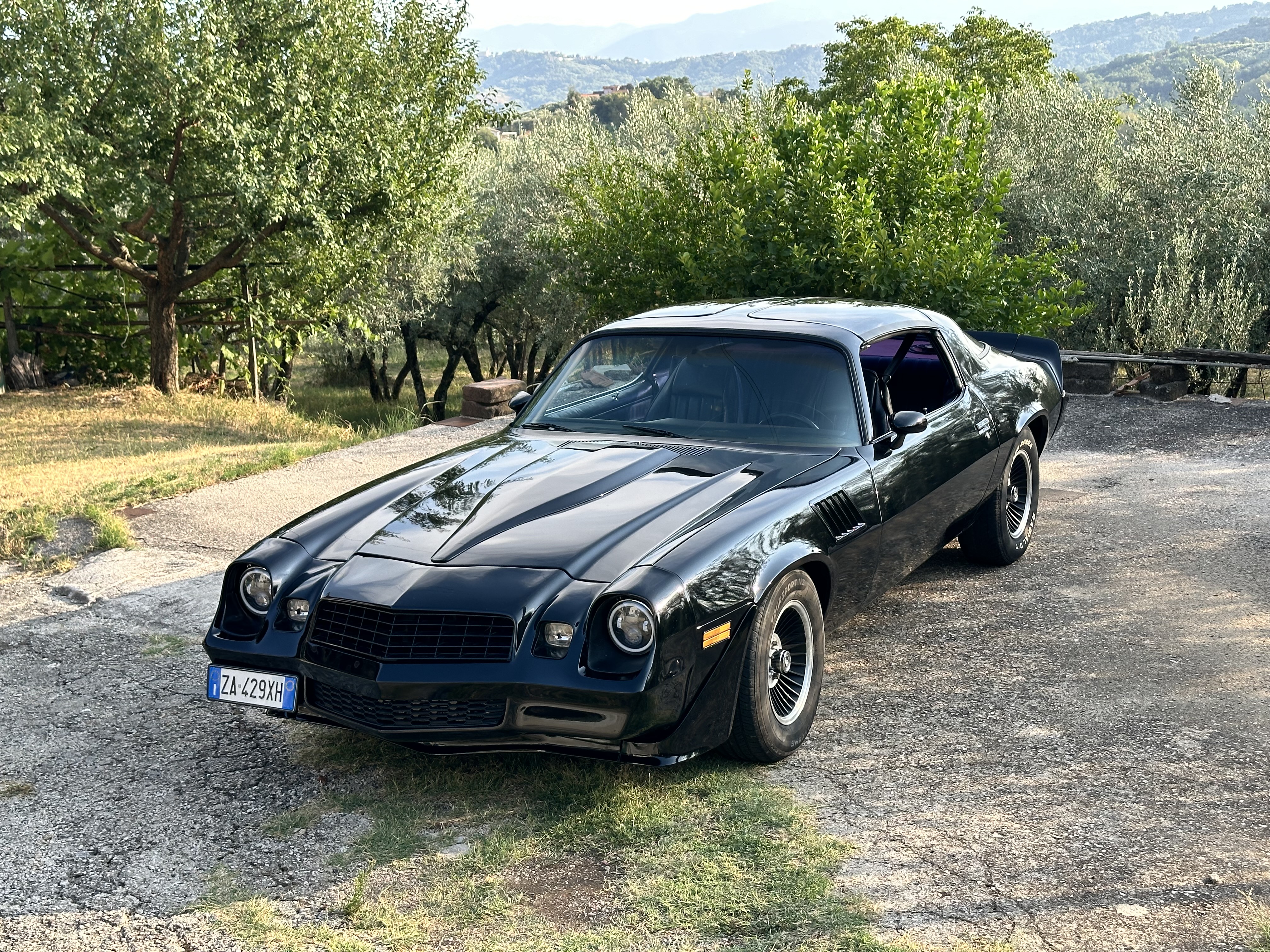 1979 Chevrolet Camaro Z28