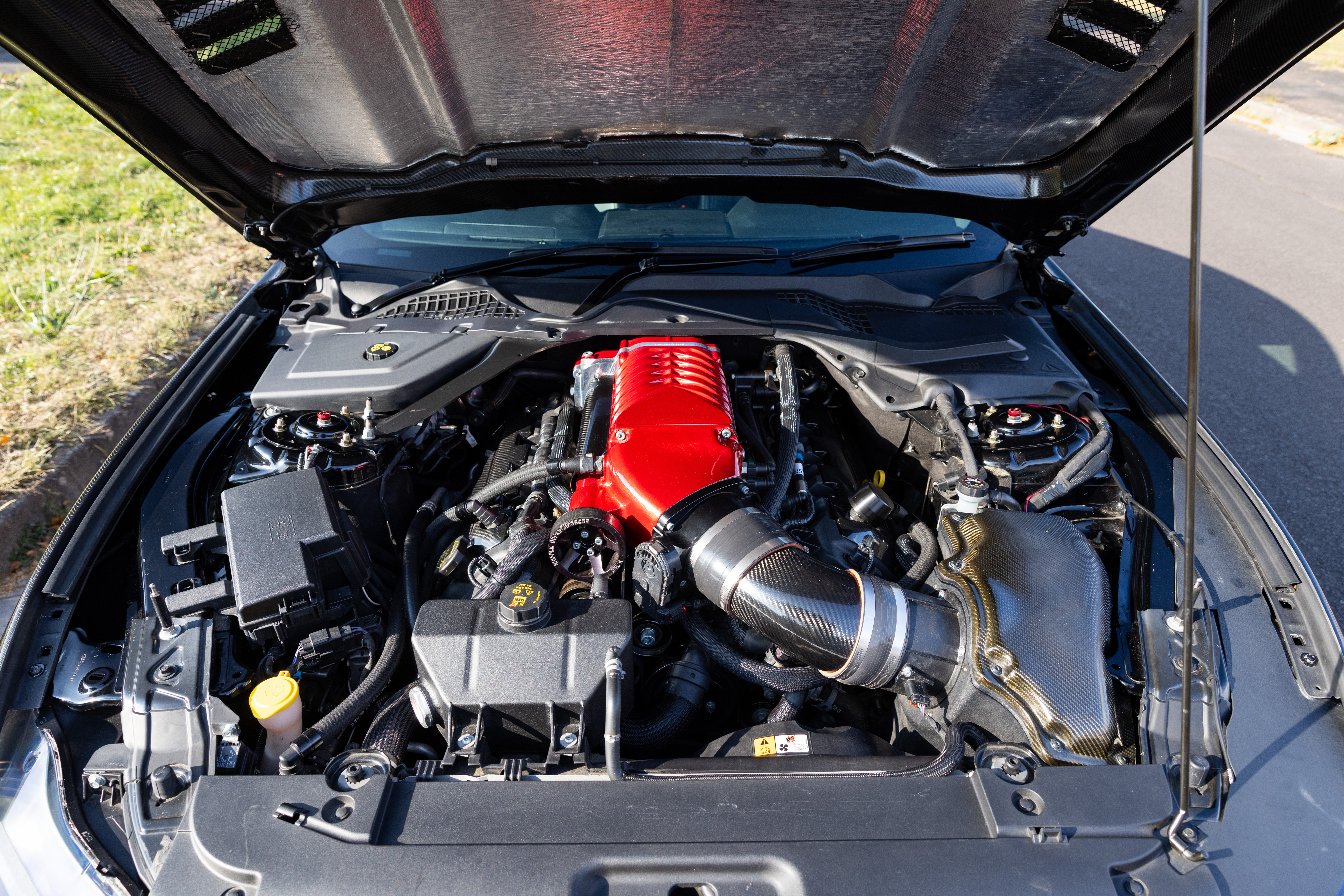 2016 Ford Mustang GT S550 - Supercharged for sale by auction
