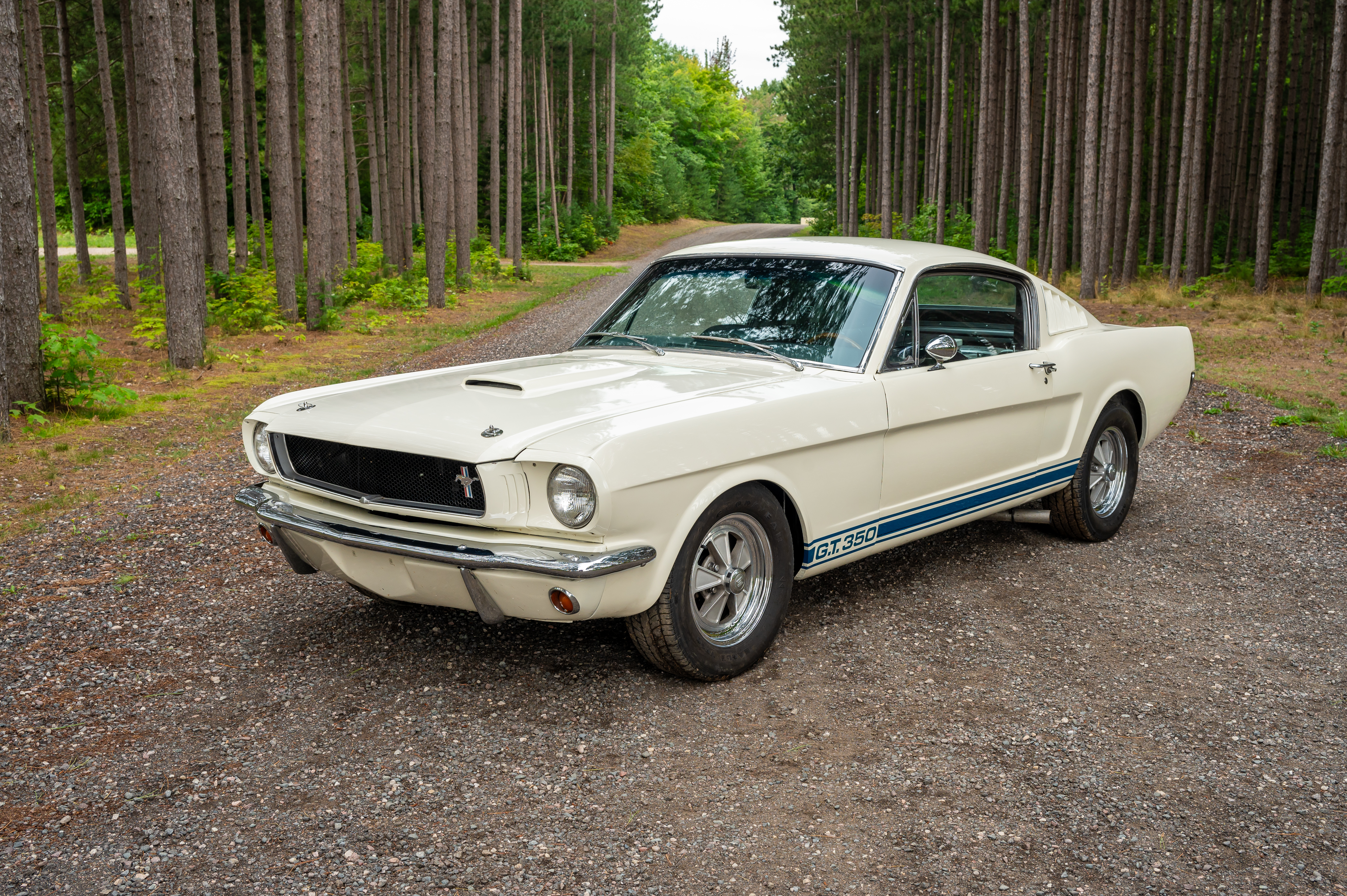 1965 Shelby GT350 #433