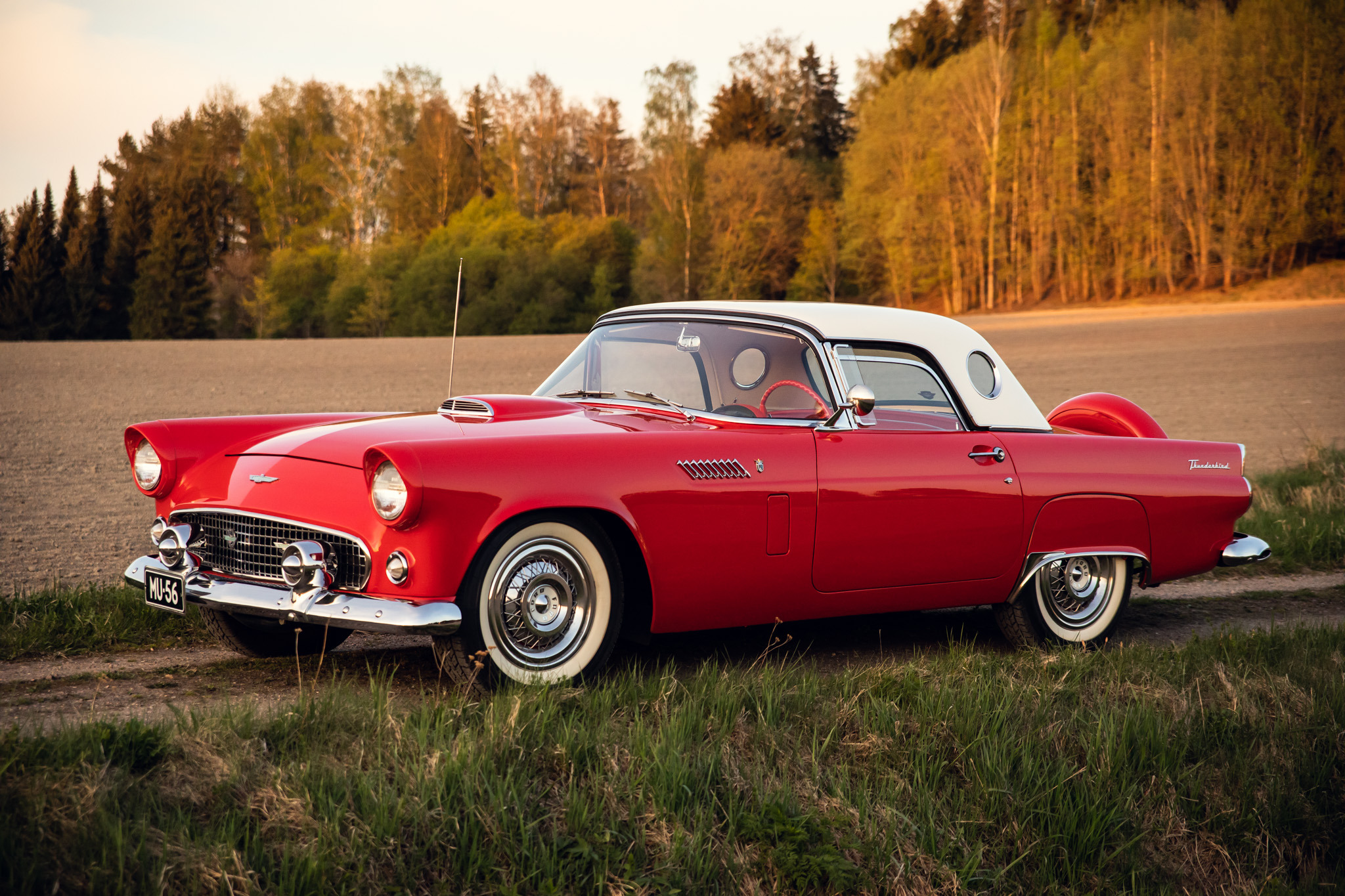 1956 Ford Thunderbird