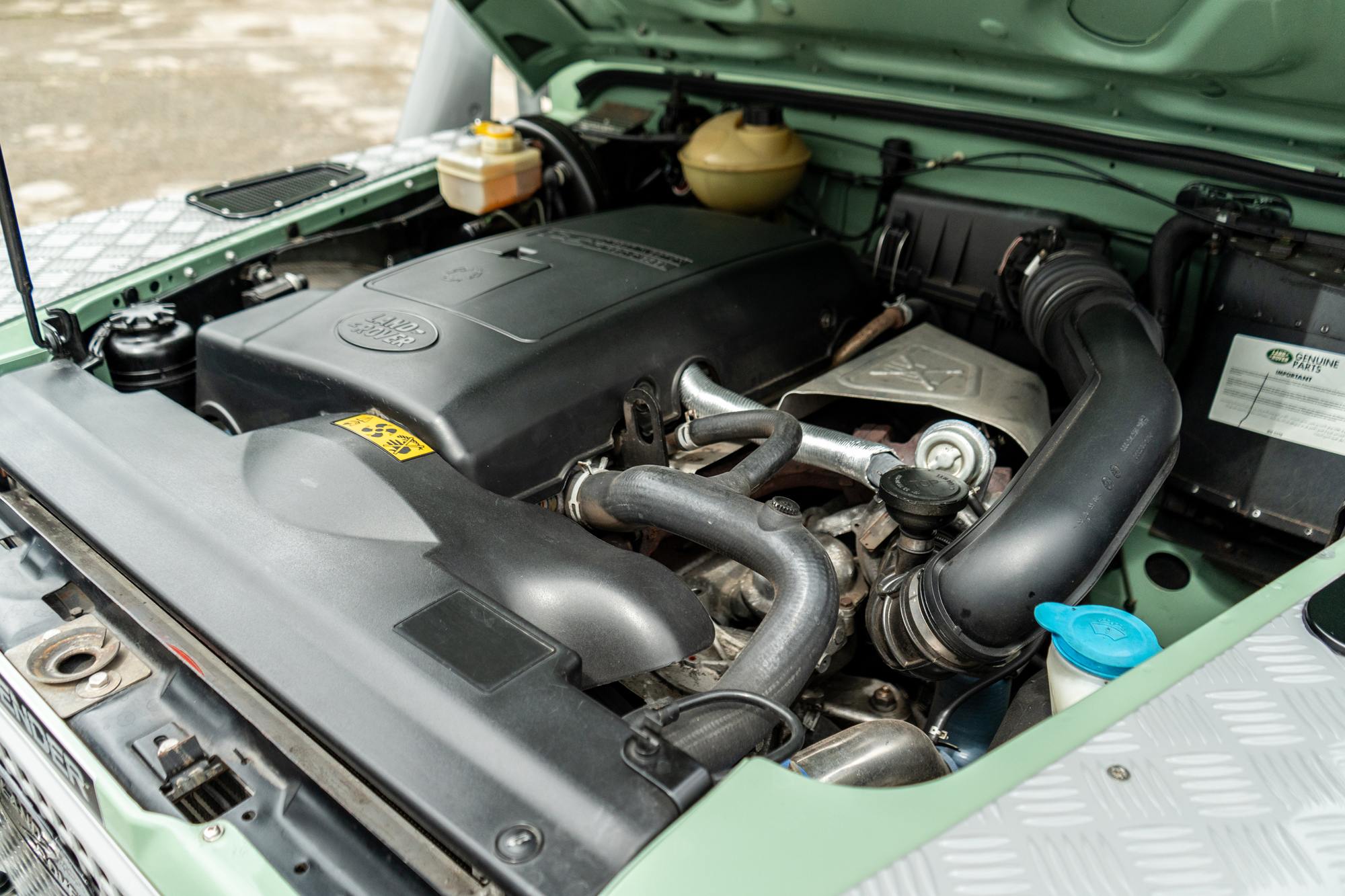 On Court-T LIMITED EDITION 全米ver.L USED