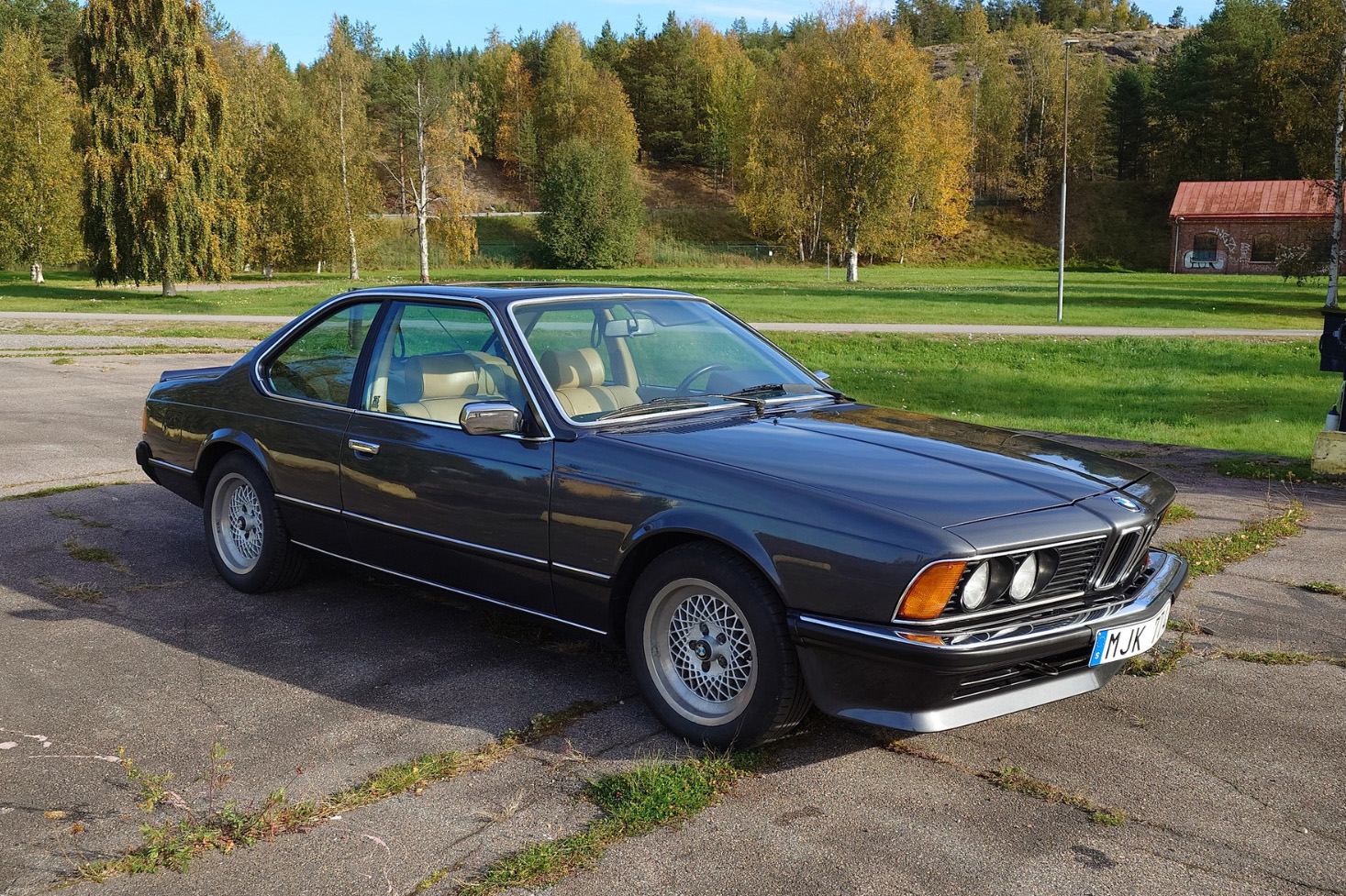 1979 BMW (E24) 635 CSi