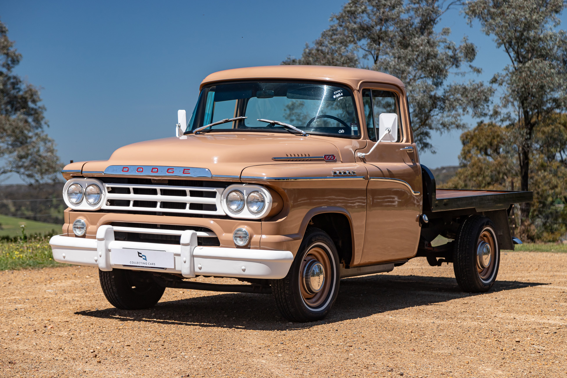 1959 Dodge D100