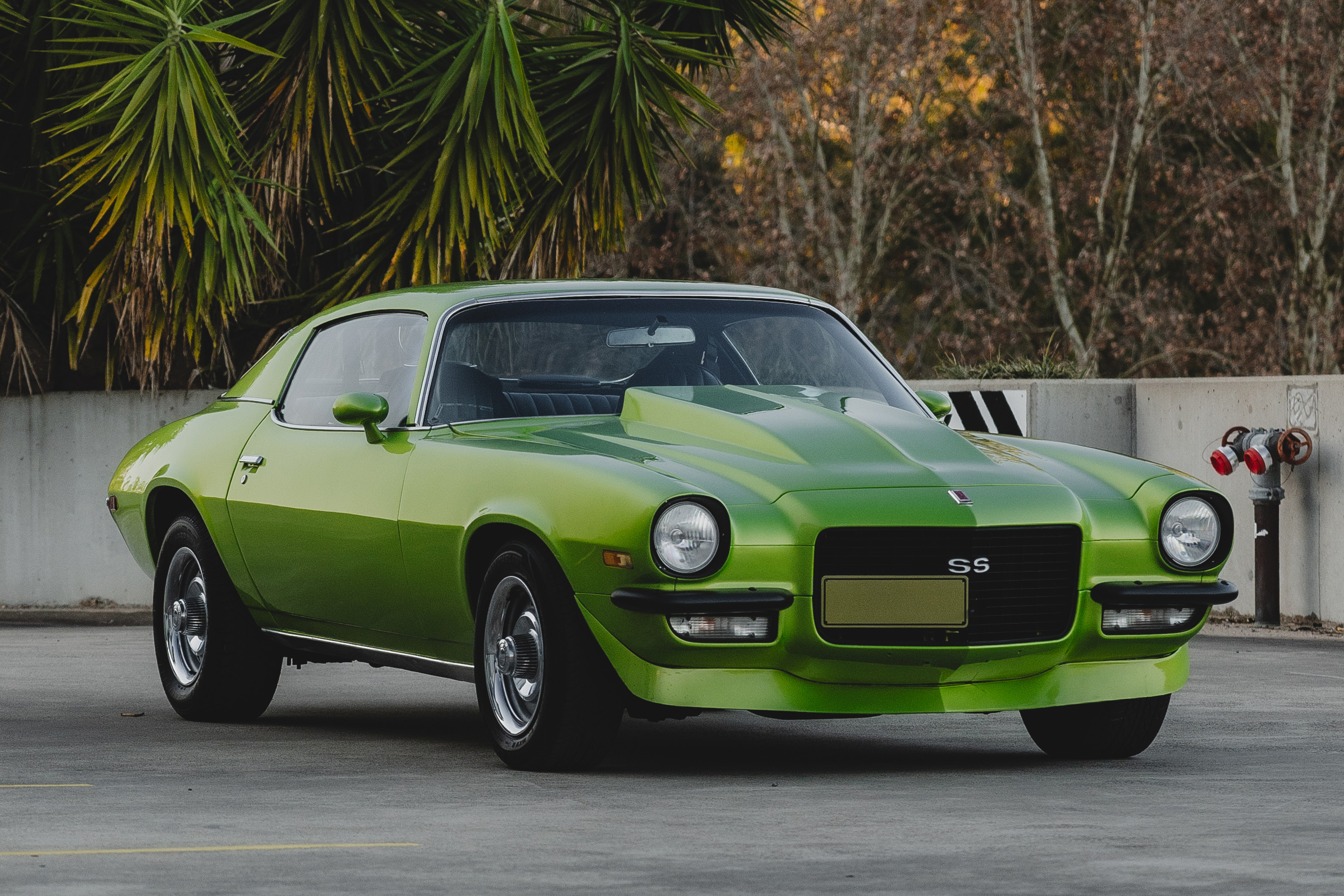 1971 Chevrolet Camaro