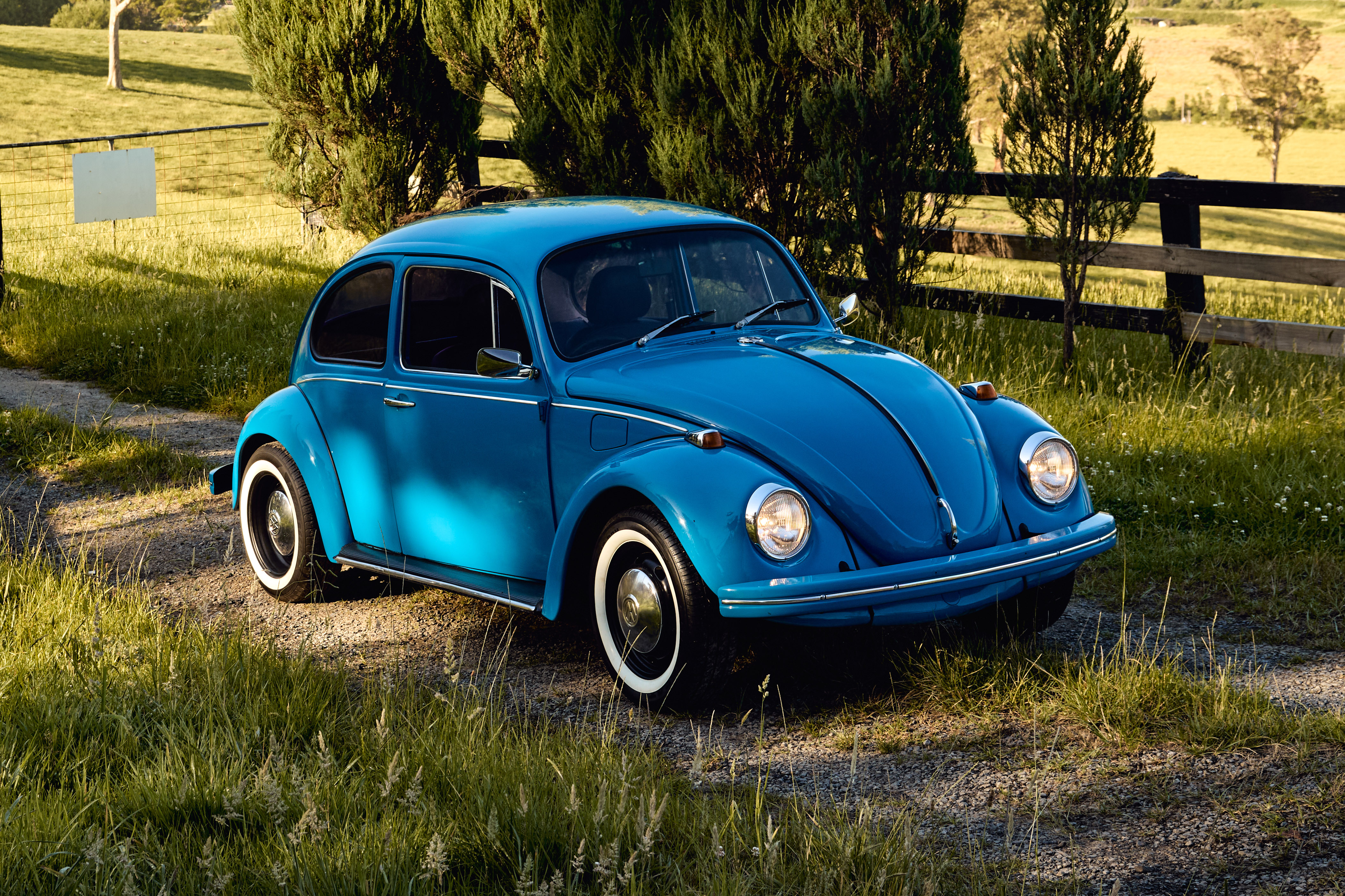 1970 Volkswagen Beetle