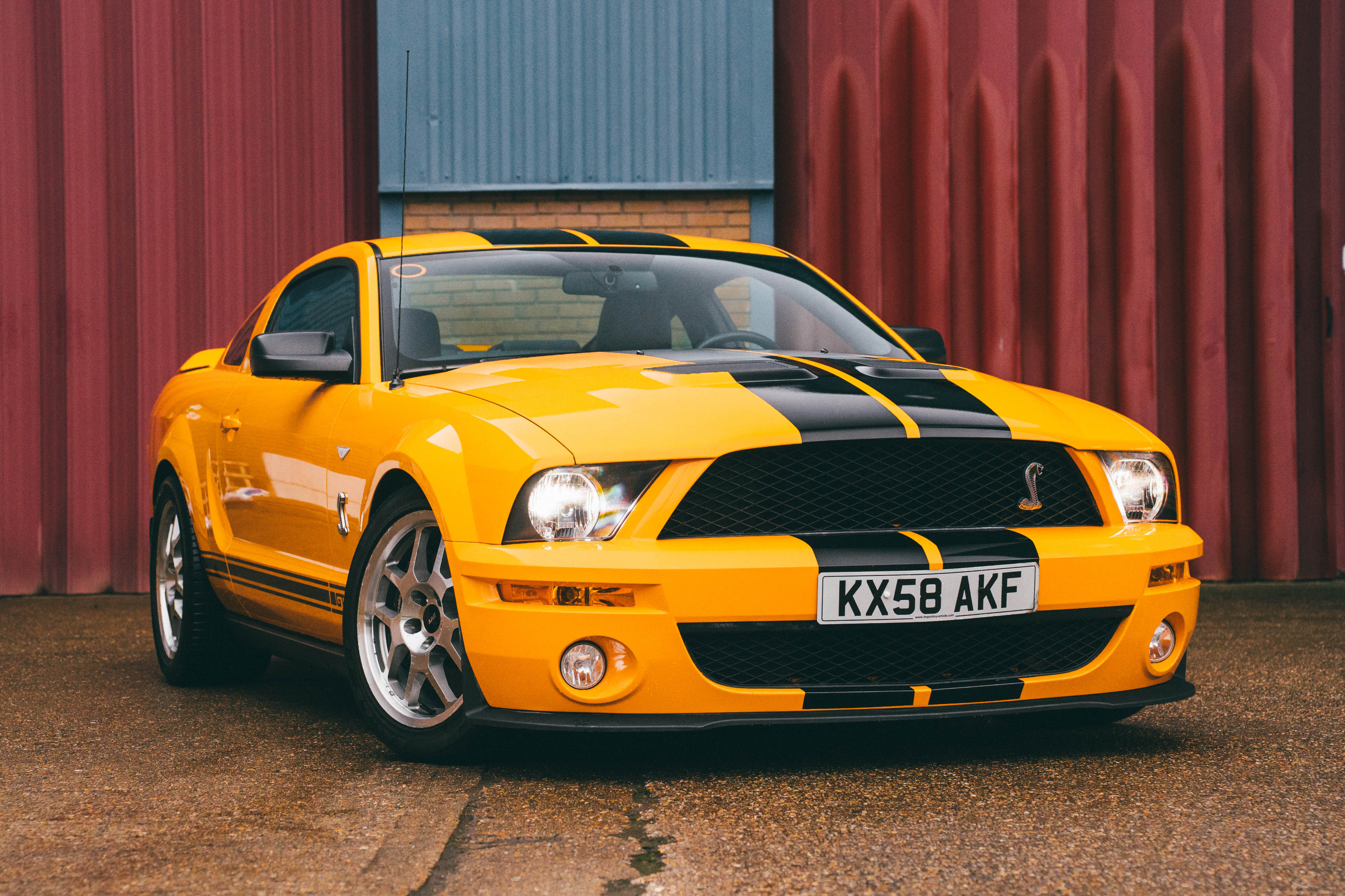 2008 Ford Shelby Mustang GT500 - 26,800 Miles