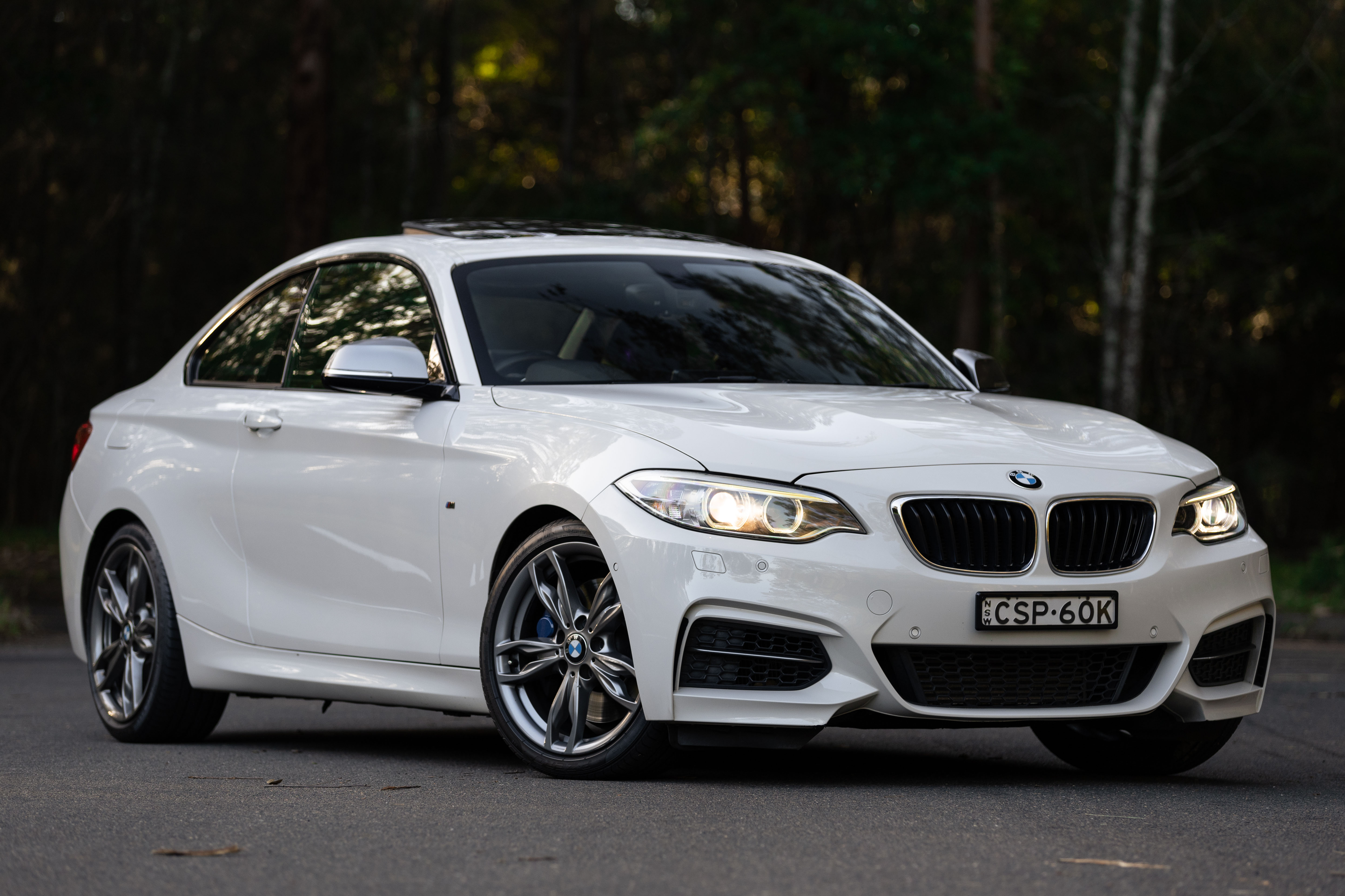 2014 BMW (F22) M235i