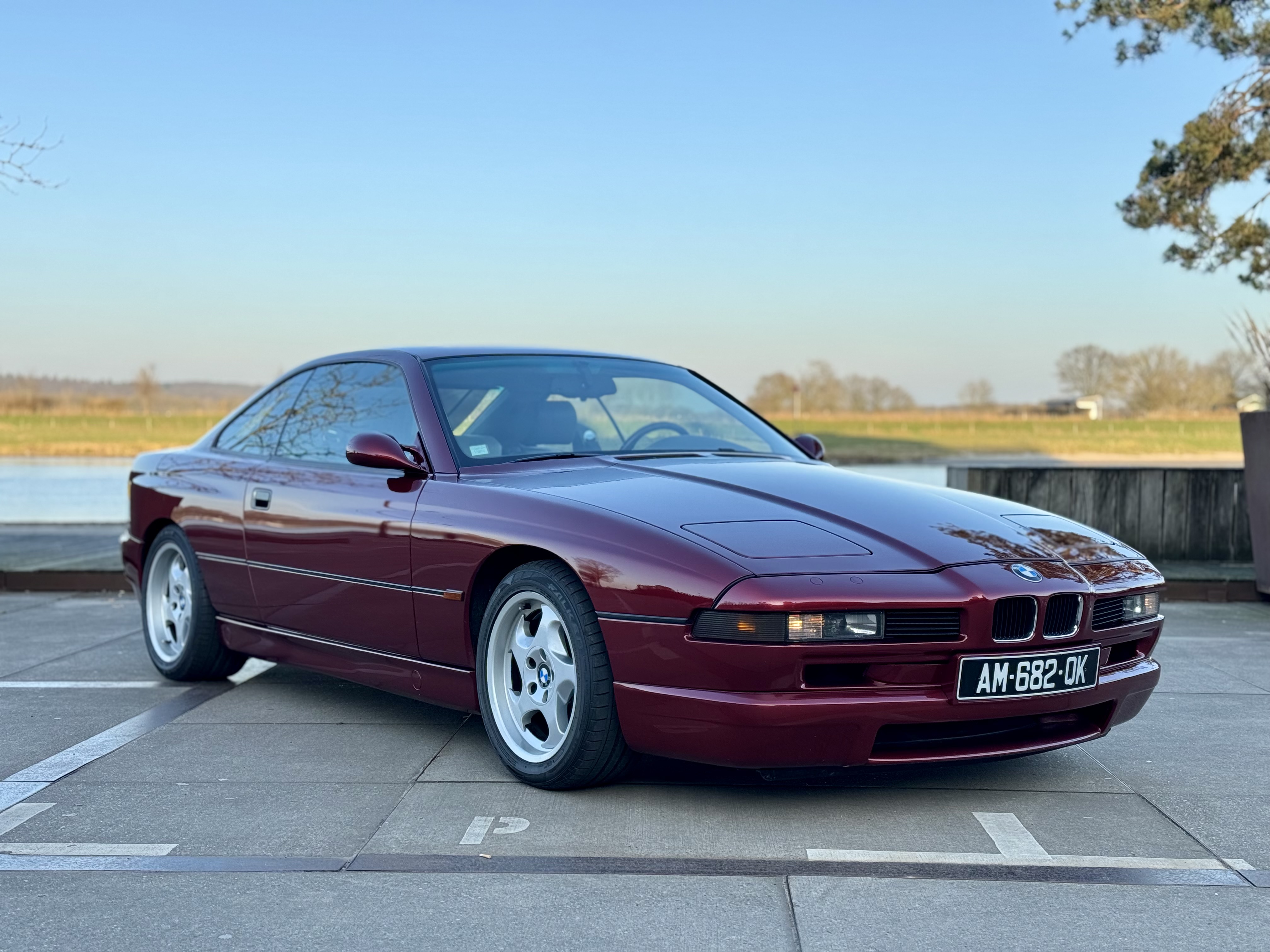 1993 BMW (E31) 850 CSi for sale by auction in Nijmegen, Netherlands