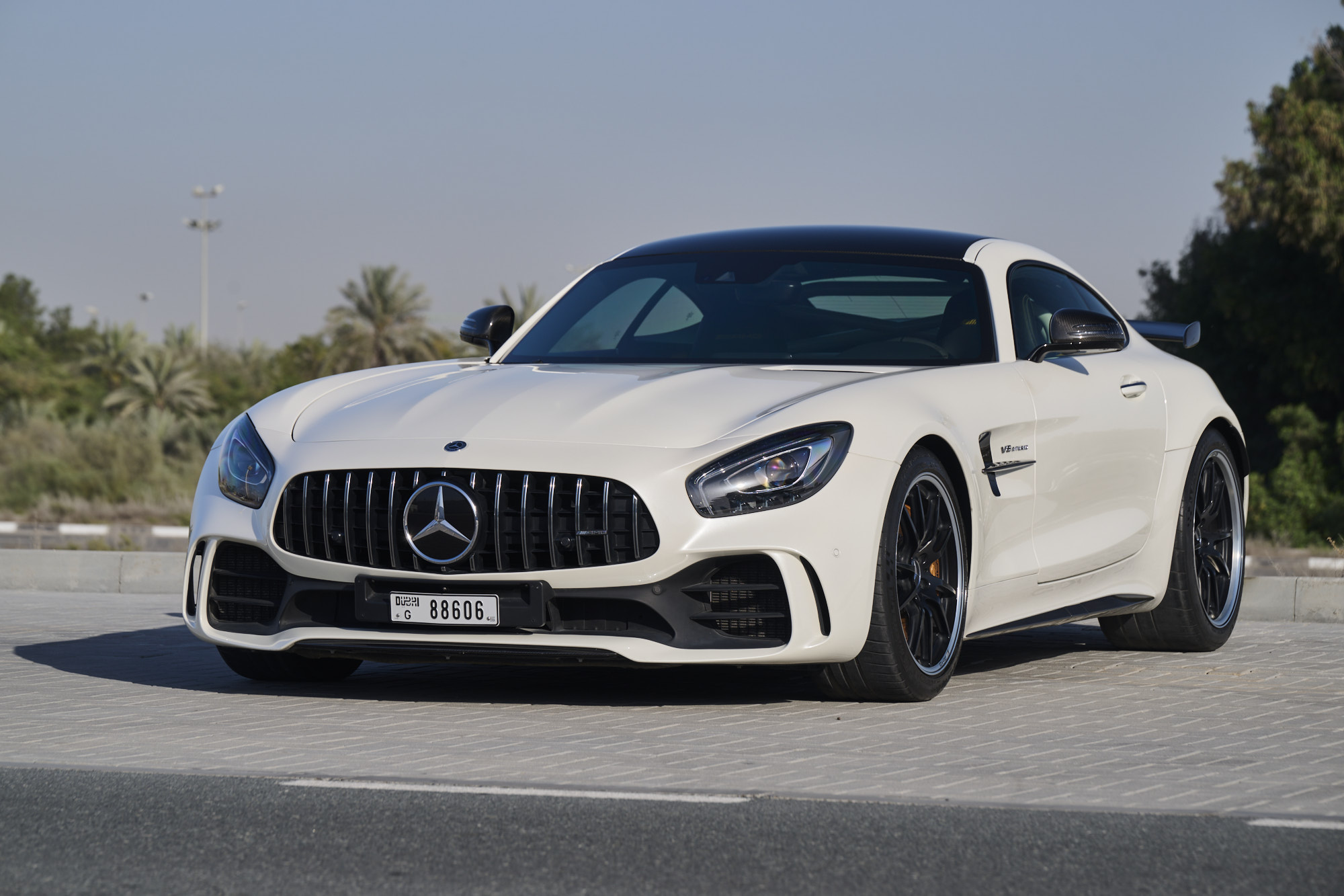2019 Mercedes-AMG GT R