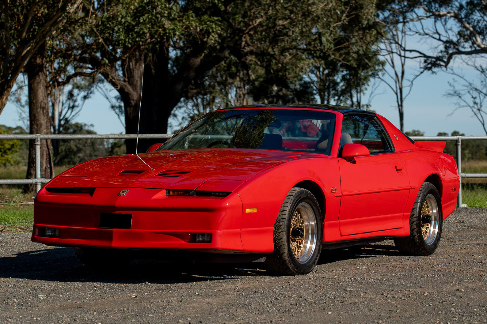 1989 Pontiac Firebird Trans Am GTA