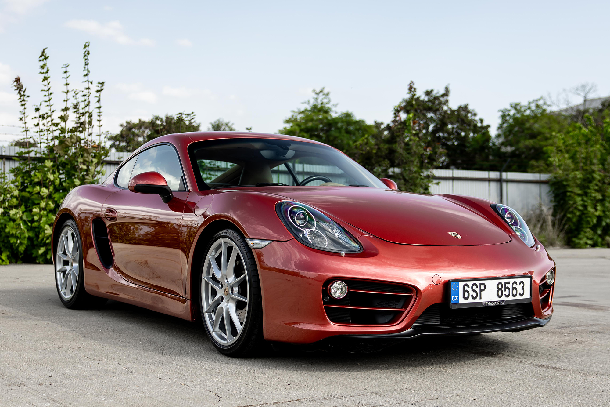 2014 Porsche (981) Cayman