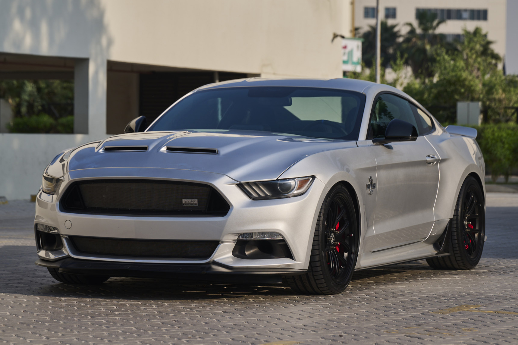 2017 Ford Shelby Mustang Supe...