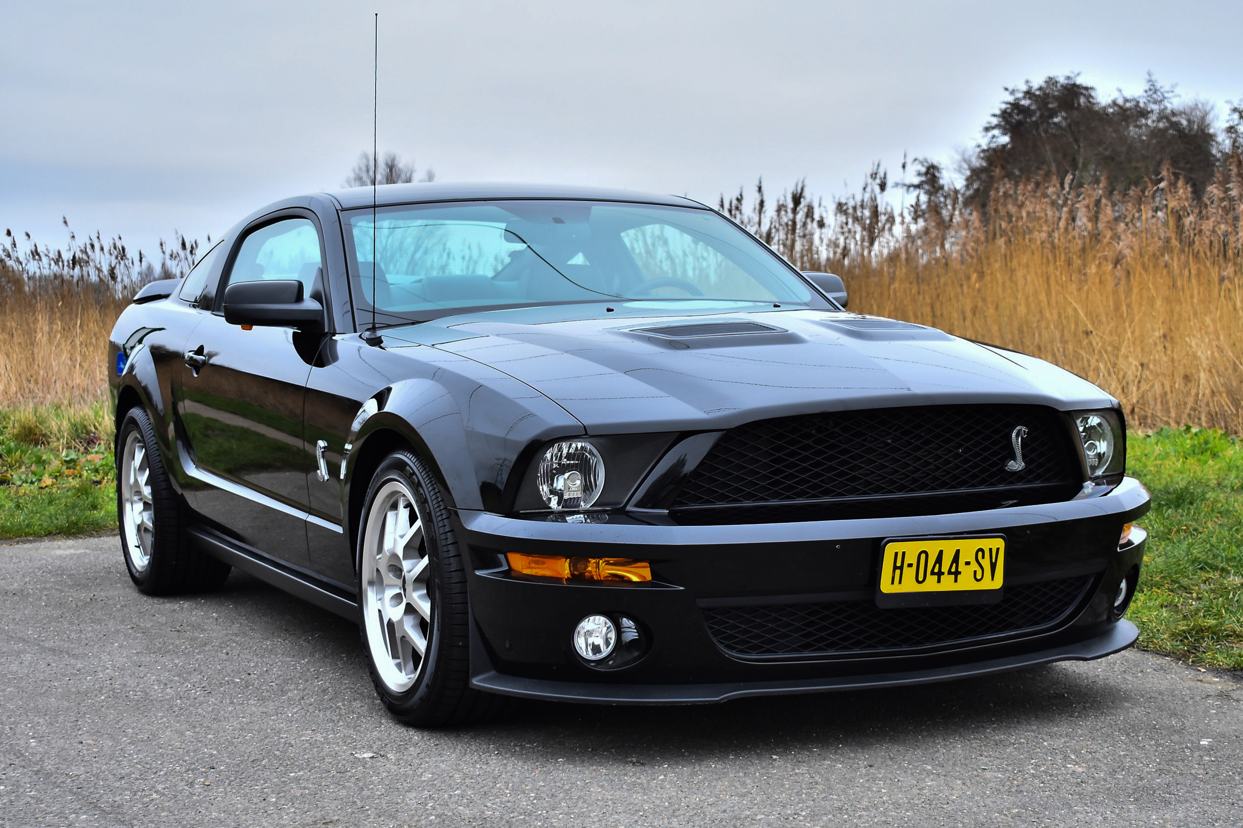 2009 Shelby GT500